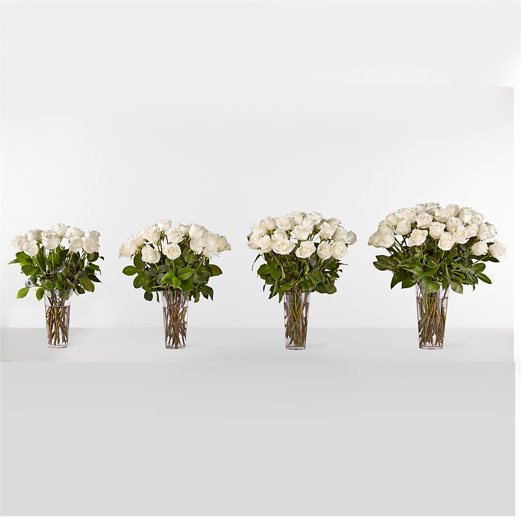 Long Stem White Rose Bouquet – ELENA'S FLOWERS, Cleveland OH