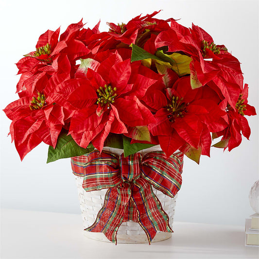 Happiest Holidays Poinsettia – ELENA'S FLOWERS, Cleveland OH