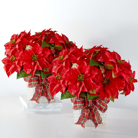 Happiest Holidays Poinsettia Bundle – ELENA'S FLOWERS, Cleveland OH