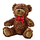Adorable Plush Bear – ELENA'S FLOWERS, Cleveland OH