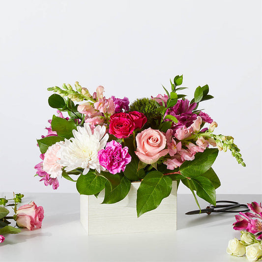 Sweetberry Box – A Florist Original – ELENA'S FLOWERS, Cleveland OH