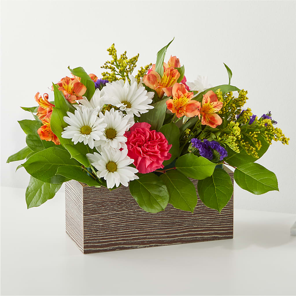 Oopsie Daisy Box Bouquet – ELENA'S FLOWERS, Cleveland OH