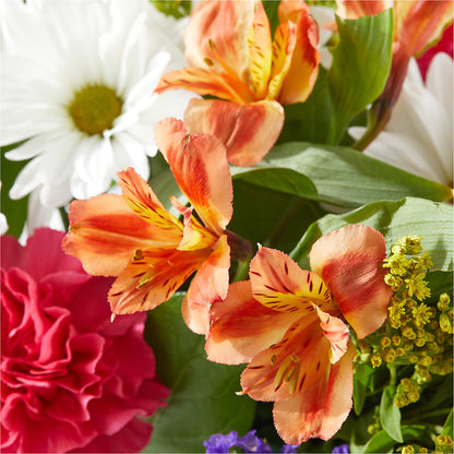 Oopsie Daisy Box Bouquet – ELENA'S FLOWERS, Cleveland OH