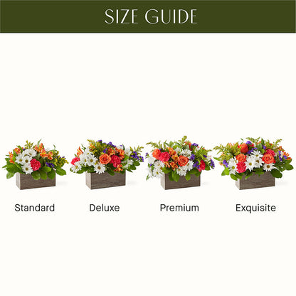 Oopsie Daisy Box Bouquet – ELENA'S FLOWERS, Cleveland OH