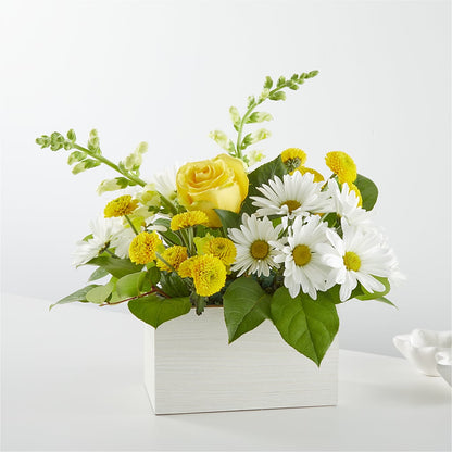 Sun Salutation Box Bouquet – ELENA'S FLOWERS, Cleveland OH