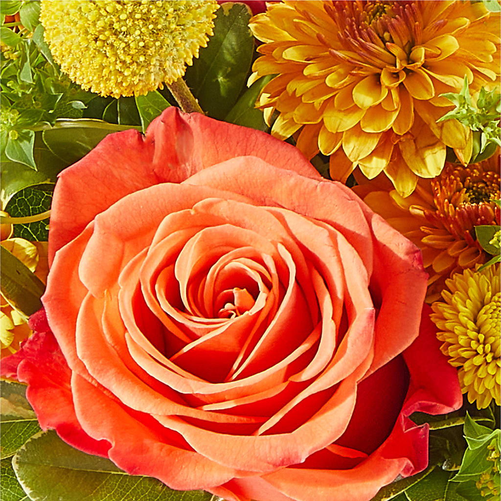 Gourdgeous Pumpkin – ELENA'S FLOWERS, Cleveland OH