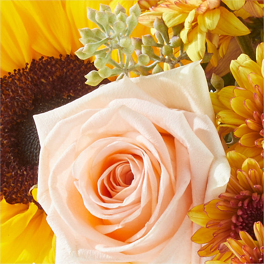 Pumpkin to Talk About Bouquet – ELENA'S FLOWERS, Cleveland OH