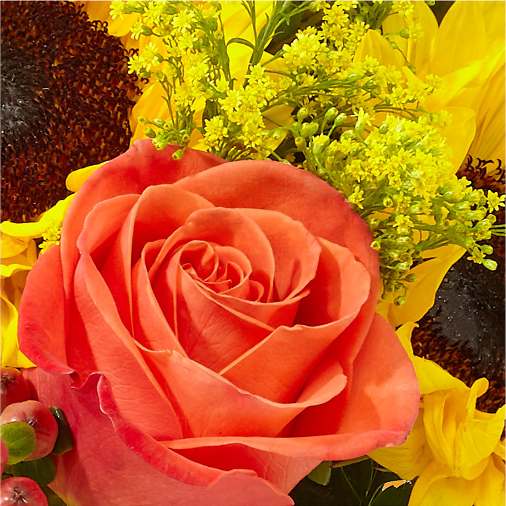 Pick of the Patch Pumpkin Bouquet – ELENA'S FLOWERS, Cleveland OH