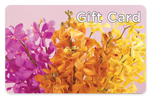 Gift Card – ELENA'S FLOWERS, Cleveland OH