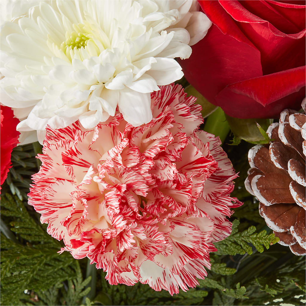 Candy Cane Lane Bouquet – ELENA'S FLOWERS, Cleveland OH