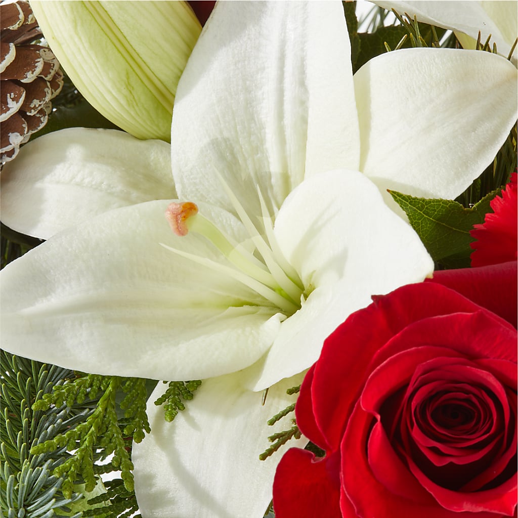Oh So Jolly Bouquet – ELENA'S FLOWERS, Cleveland OH