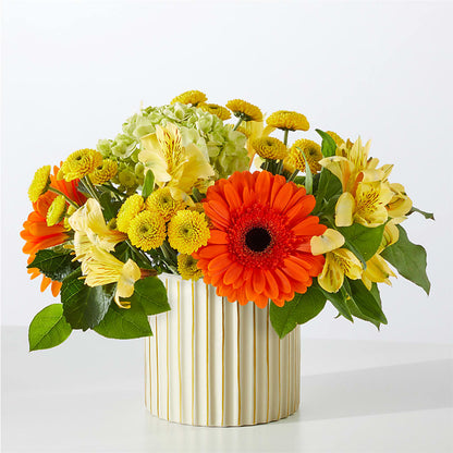 Autumn Sunshine Bouquet with Ivory Vase – ELENA'S FLOWERS, Cleveland OH