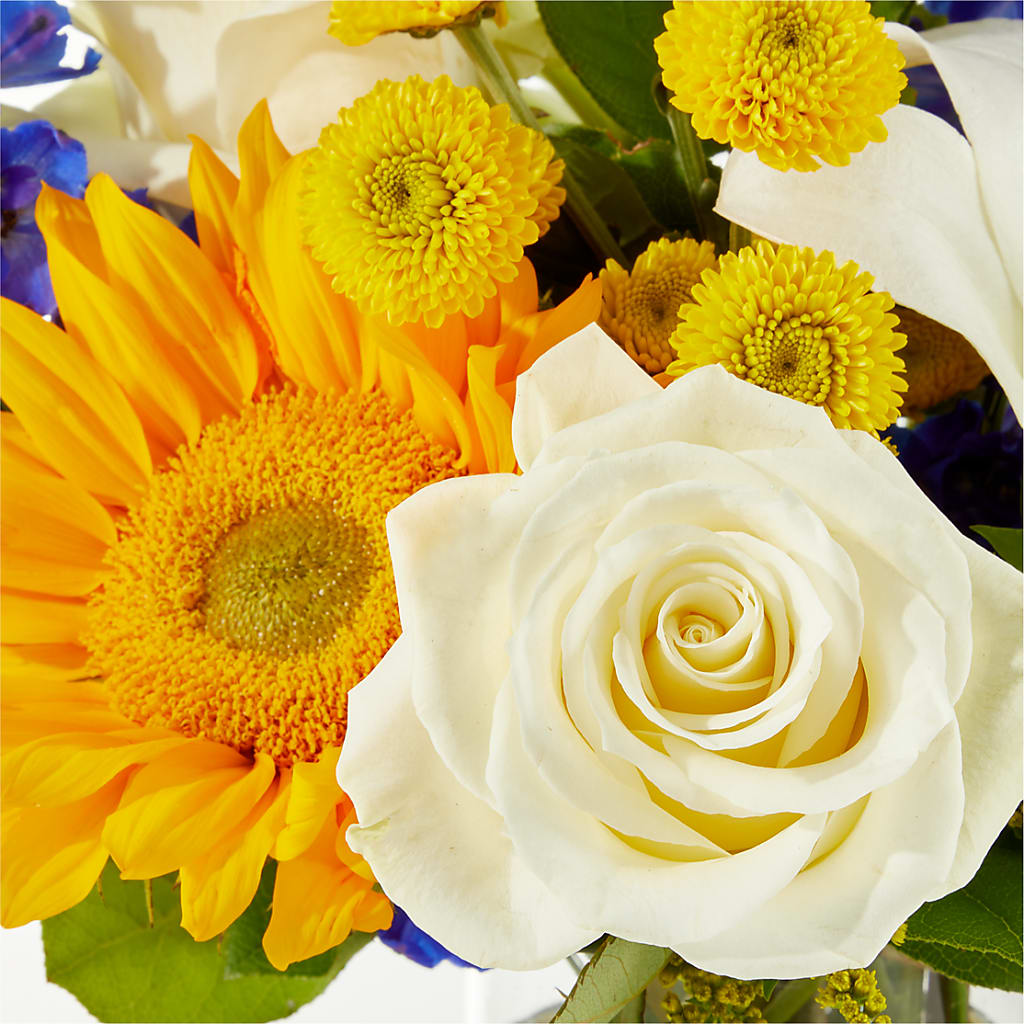 Stargazing Bouquet – ELENA'S FLOWERS, Cleveland OH