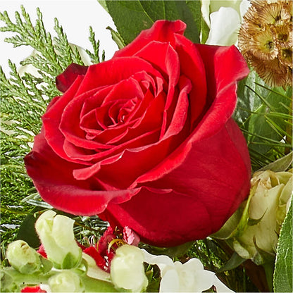 Deck the Halls Bouquet – ELENA'S FLOWERS, Cleveland OH