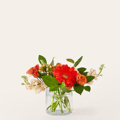 Paloma Please Bouquet – ELENA'S FLOWERS, Cleveland OH