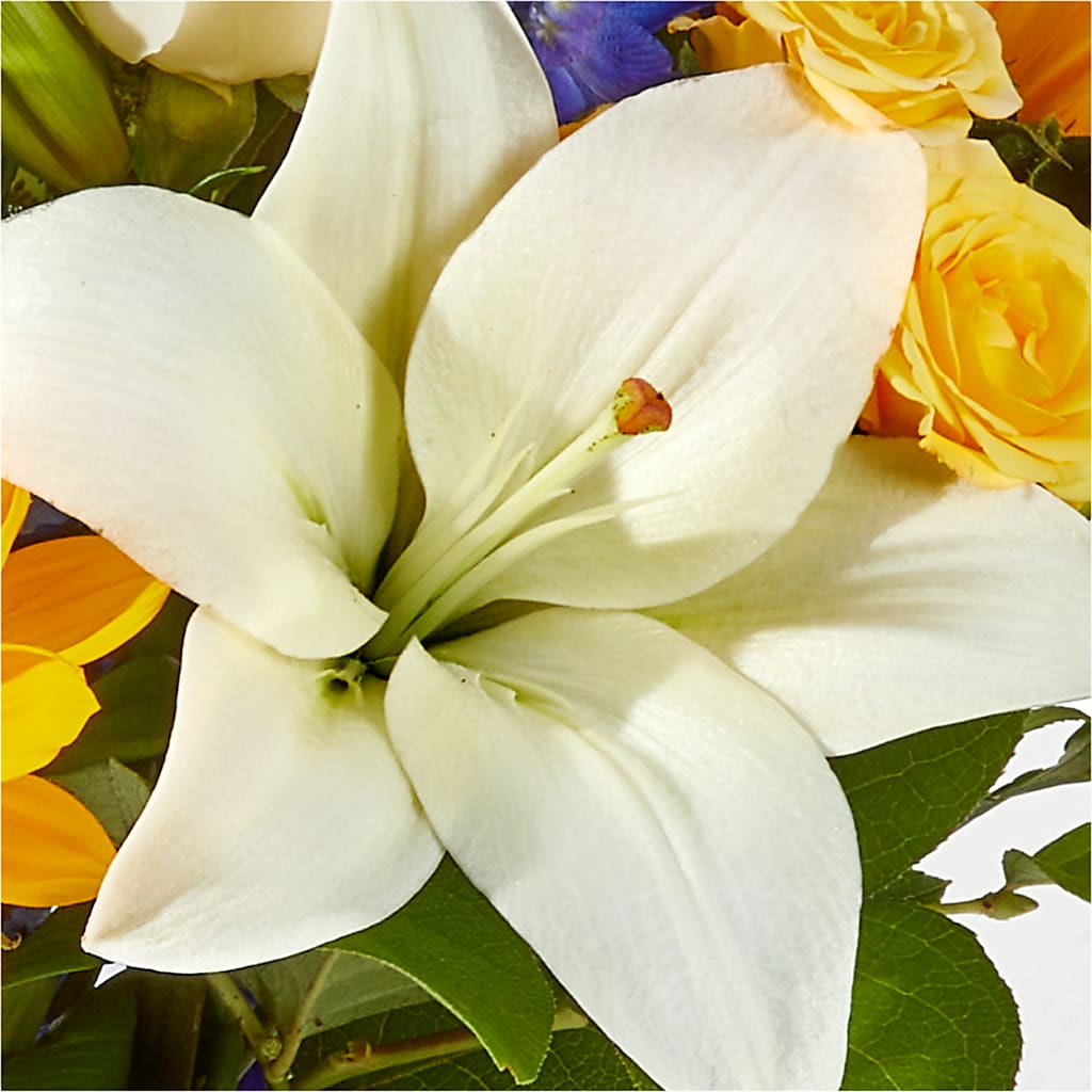 Wonderfully Sunny Bouquet – ELENA'S FLOWERS, Cleveland OH