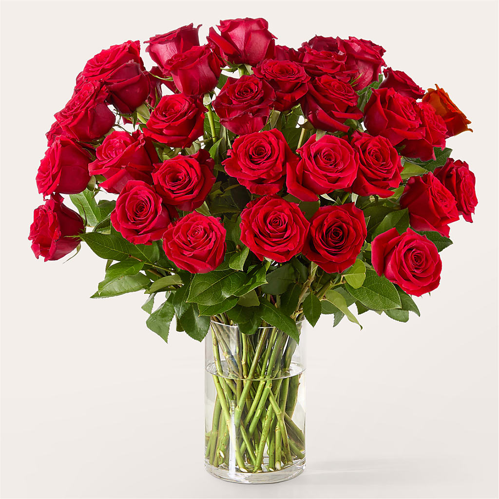 The One Red Rose Bouquet – ELENA'S FLOWERS, Cleveland OH