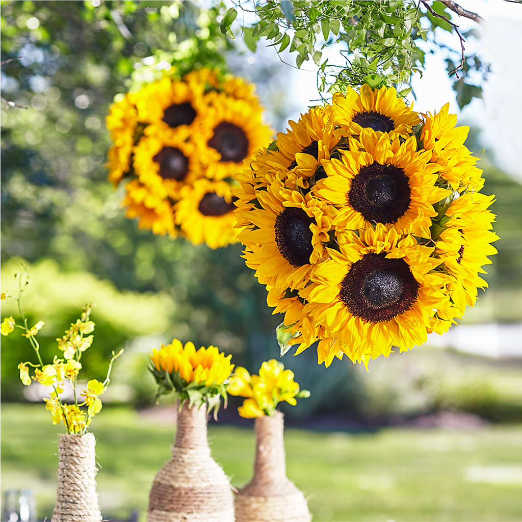 Sublime Garden Hanging Arrangement – ELENA'S FLOWERS, Cleveland OH