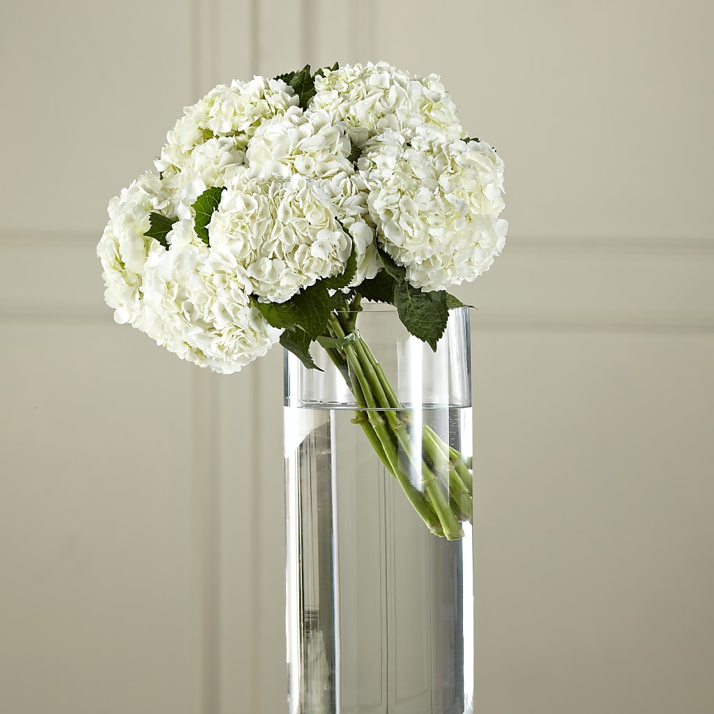 White Hydrangea Hand-Tied Bouquet – ELENA'S FLOWERS, Cleveland OH